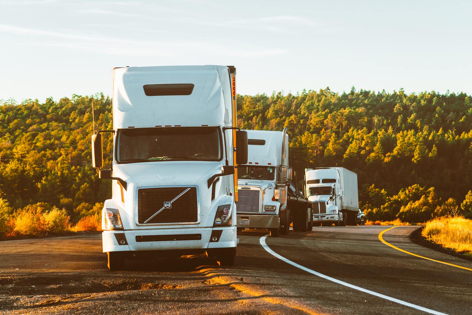 A RODZ TOWING & TRANSPORT LLC